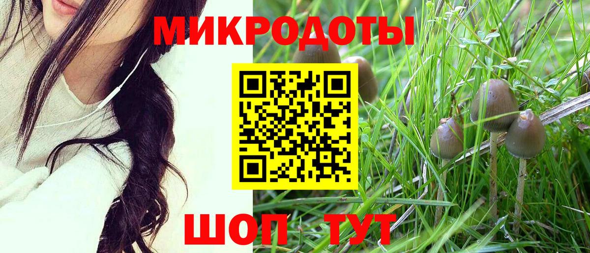 Галлюциногенные грибы прущие грибы Печора