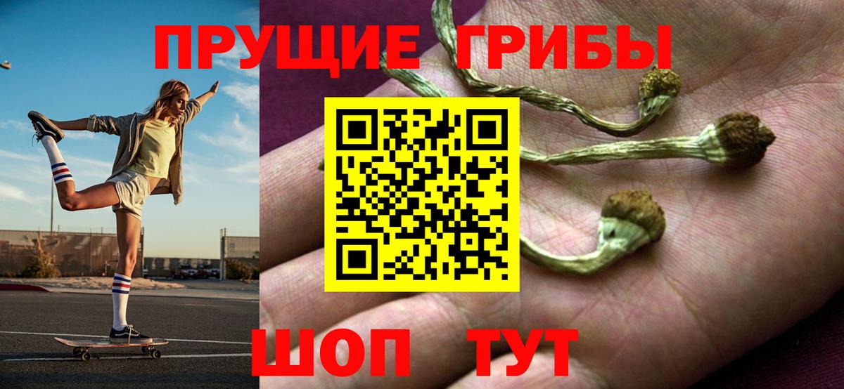 Печора  Псилоцибиновые грибы мухоморы  Вход с VPN 